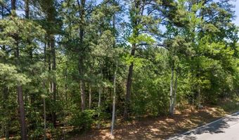 Main St and Hwy 1, Alberta, VA 23821