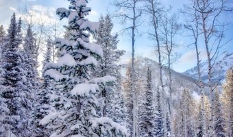 9380 E Kessler View Ln, Brighton, UT 84121