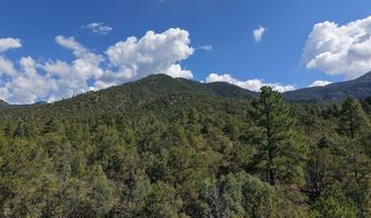 Robertos Lane, Arroyo Seco, NM 87514