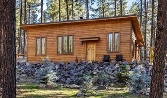 24 County Rd 2267, Alpine, AZ 85920