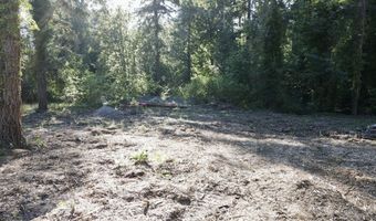 63205 SE Brightwood Bridge Rd, Brightwood, OR 97011