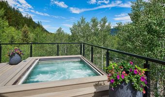 1271 Ute Ave, Aspen, CO 81611