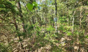 Strawberry Valley Road, Ash Flat, AR 72513
