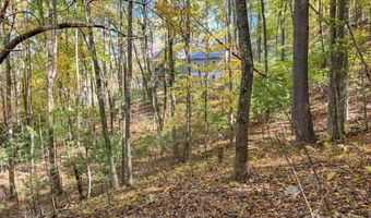 345 Christa Ln, Arden, NC 28704