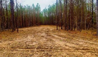 1919 Arthur Dr NW, Brookhaven, MS 39601