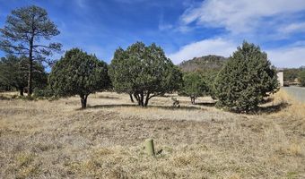 Deer Valley Drive 4, Alto, NM 88312
