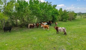 Tbd Lot Pt 15 & 16 County Road 1271, Alvord, TX 76225
