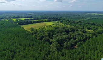 22880 OLD WEEKLY ROAD Lot 40 Acres, Bay Minette, AL 36507