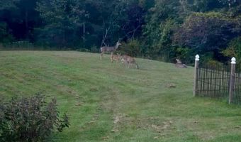 1668 State Hwy 498, Beattyville, KY 41311