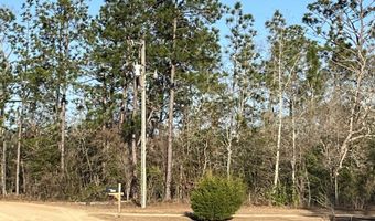 Goreville Avenue, Alford, FL 32420