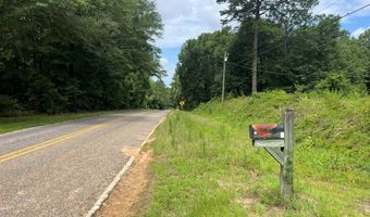 227 County Road 102, Abbeville, AL 36310