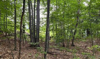 7 Beechwoods At Intervale Dr, Bartlett, NH 03812