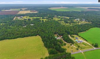 3164 Neely Wingard Rd, Leesville, SC 29070