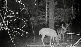 1451 Highway 140 NW, Adairsville, GA 30103