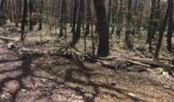 Cree Trail, Albrightsville, PA 18210