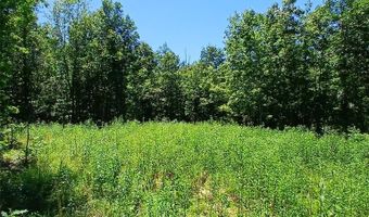 0000000 Easement, Annapolis, MO 63620