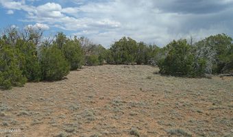 Show Low Pines Lot 189, Concho, AZ 85924
