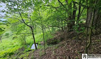 Lynch Casey Road, Andover, NY 14806