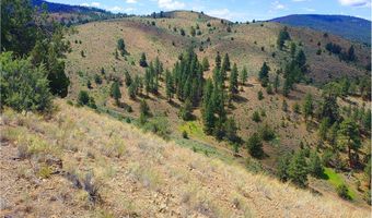 12142 Burns-Izee Rd, Seneca, OR 97873
