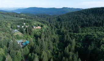 N Dubois Rd, Ariel, WA 98603