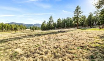 2 CR N2261, Alpine, AZ 85920