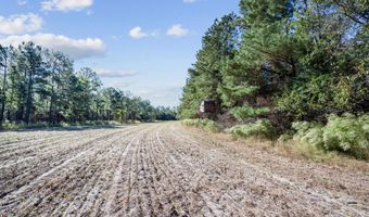 7901 Ashleigh Rd, Blackville, SC 29817
