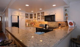 800 E Hopkins Ave A-1, Aspen, CO 81611