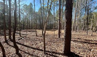 County Road 123, Water Valley, MS 38965