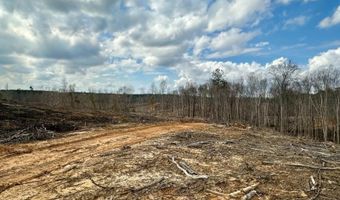 88 County Road 5345, Baldwyn, MS 38824
