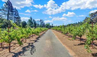 875 White Cottage Rd N, Angwin, CA 94508