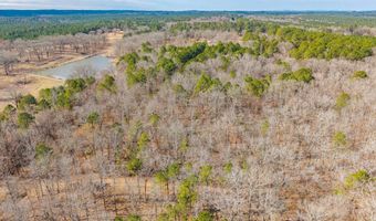 BRUSHY CEMETERY Road, Amity, AR 71921