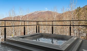 1271 Ute Ave, Aspen, CO 81611