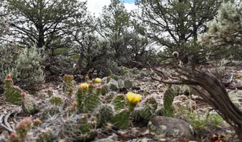 Unk Sandia Canyon Rd, Arroyo Hondo, NM 87513