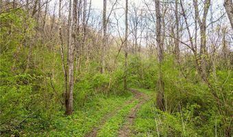 E Captina Highway Road, Alledonia, OH 43902