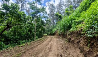 54-1749 PAIPO KANE Rd, Kapaau, HI 96755