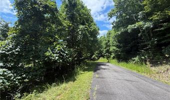 Beaver Dam Road lot 99, Banner Elk, NC 28604