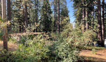 791 Highway 4, Arnold, CA 95223