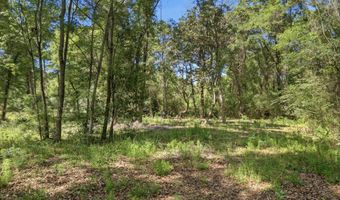 Hilton Trail, Baker, FL 32531