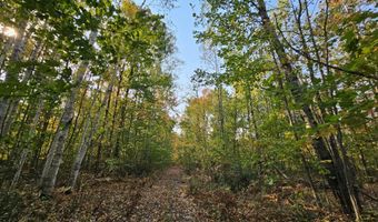 Off Walker Road, Afton, MI 49705