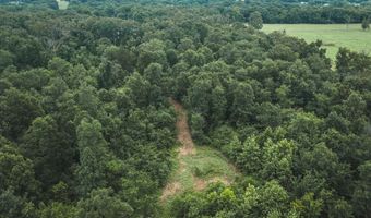 1569 Spider K Rd, Anderson, MO 64831