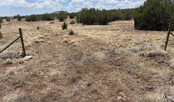 11 Cxx W Old Rte 66, Ash Fork, AZ 86320