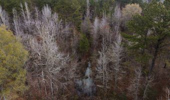 Bright Road, Ackerman, MS 39735