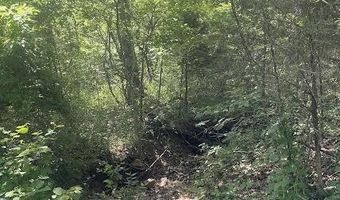 Co Rd 304, Ava, MO 65608