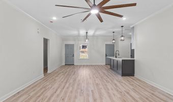 516 Madeleine Cir, Austin, AR 72007