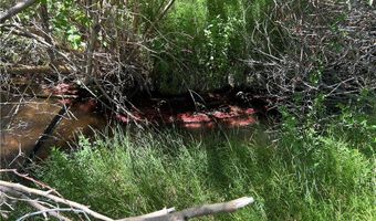 360 MOUNTAIN CREEK Rd, Dyer, NV 89010