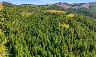 1710 Tower Mountain Rd, Blanchard, ID 83804