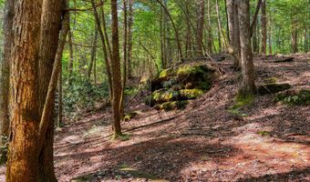 54 E Ridge Rd, Allardt, TN 38504