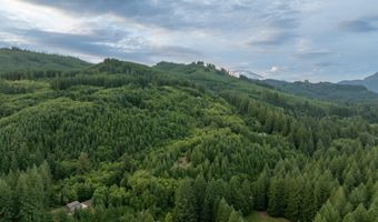 118 BALD EAGLE Rd, Ariel, WA 98603