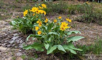 27 N Meadow Crk {lot 8, Centerville, ID 83631