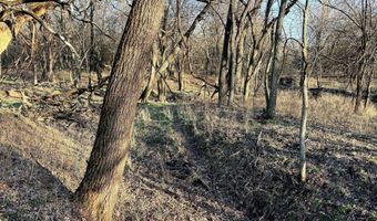 0002 CR-290, Asbury, MO 64832